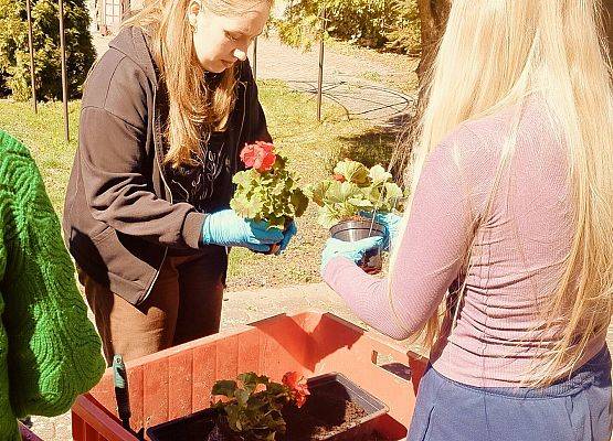 Wizyta wolontariatu Zespołu Szkół Gospodarki Żywnościowej i Agrobiznesu grafika