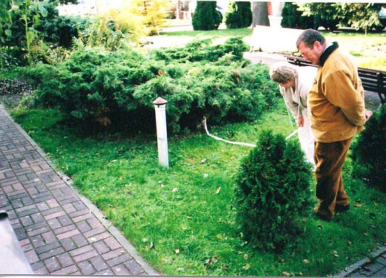 Wlazł kotek na płotek grafika