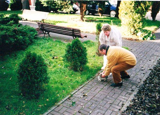 Wlazł kotek na płotek grafika
