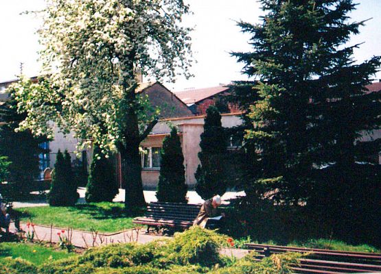 Pierwsze promienie wiosennego słonka grafika